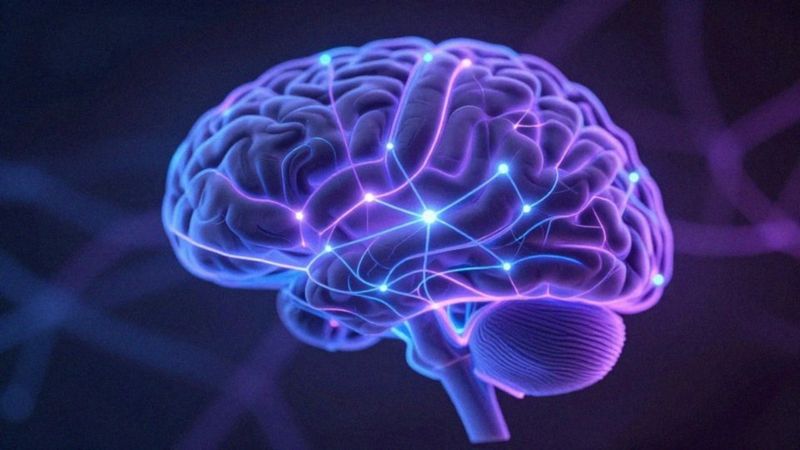 Jakie czynniki psychologiczne i neurobiologiczne wiążą się z nimfofilią?