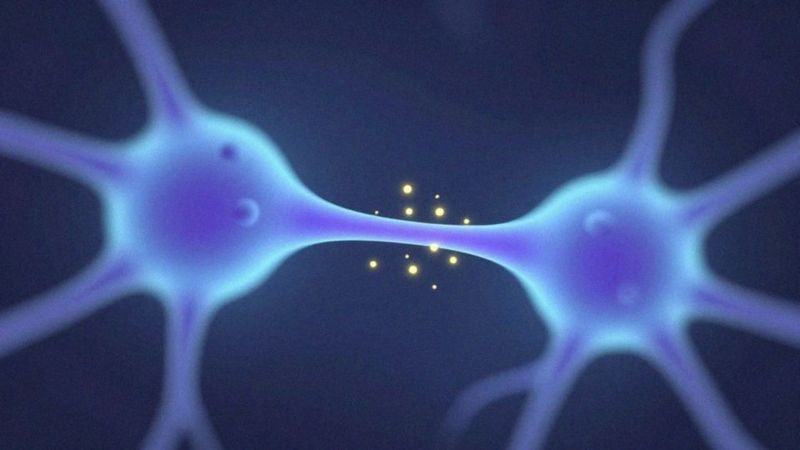 Jak sertralina wpływa na serotoninę?