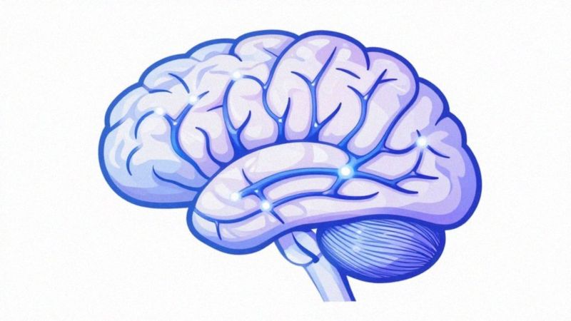 Jak neurony lustrzane wyjaśniają zaraźliwość ziewania?