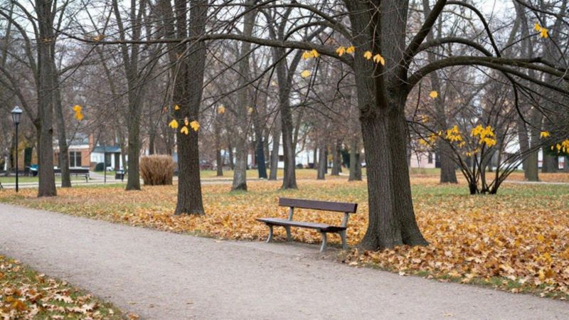 Jak przebiegają etapy żałoby po stracie bliskich?