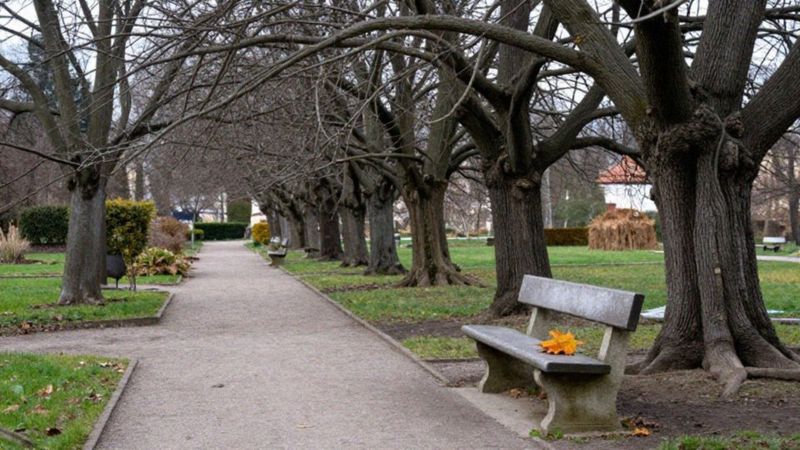 Czy stoicki spokój oznacza obojętność czy akceptację?