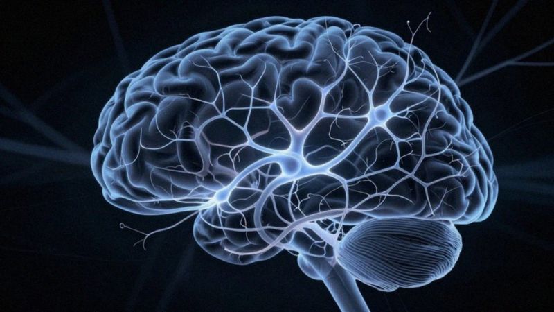 Jak neuronalne ścieżki sprzyjają nawrotom depresji?