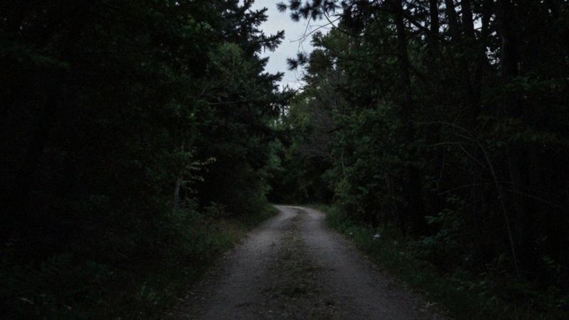 Jaką funkcję pełnią lęk i strach?