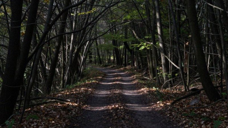 Jakie cechy charakterystyczne ma osobowość borderline?