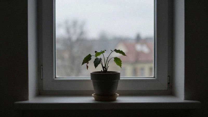 Jakie są psychiczne konsekwencje nadmiernego przywiązania do rodziców?