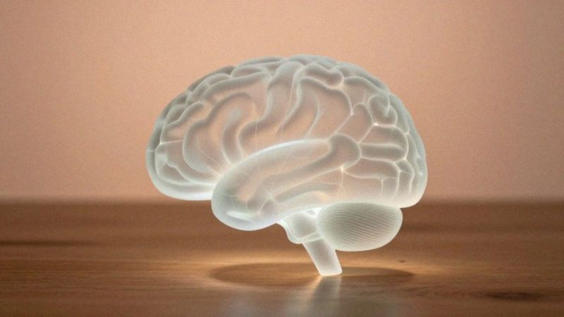 Jak uszkodzenia mózgu wpływają na zdrowie psychiczne?