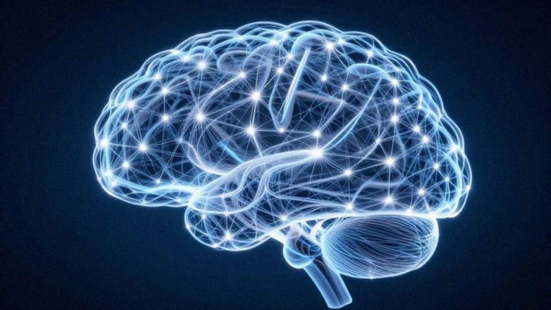 Ile połączeń synaptycznych ma mózg?