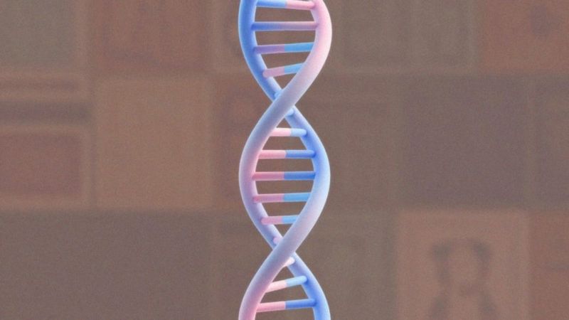 Czy biologiczne różnice wyjaśniają zachowania seksualne?