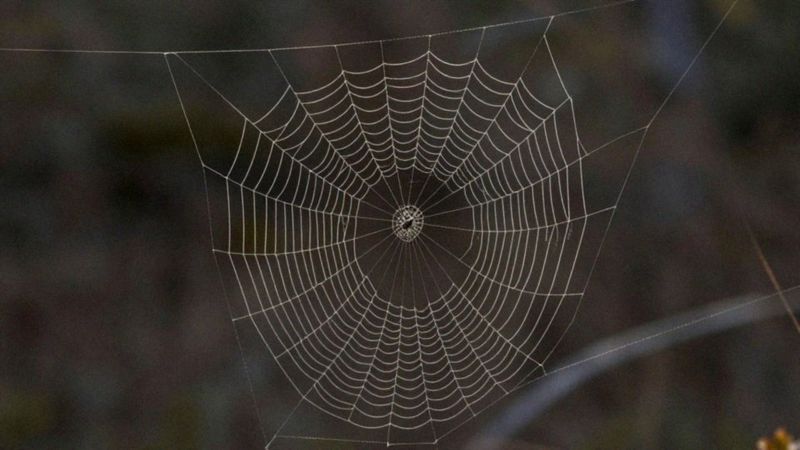 Jak powstaje lęk wobec określonego bodźca?
