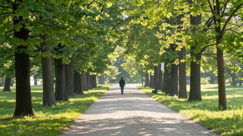 Jak ruch i świeże powietrze pobudzają organizm?