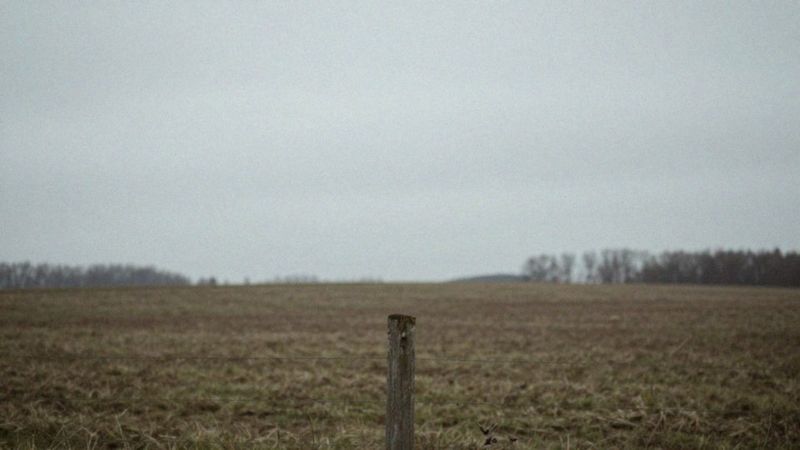 Jakie są objawy lęku i niepokoju?