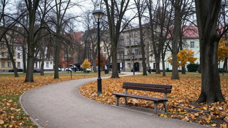 Jakie przyczyny stoją za poczuciem osamotnienia?