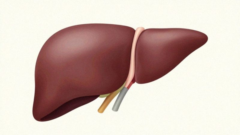 Co powoduje podwyższony estrogen u mężczyzn?