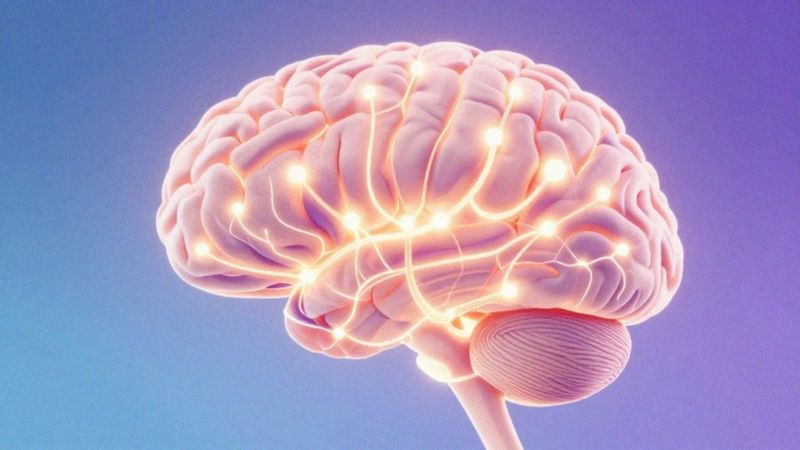 Jak biochemia mózgu wpływa na pożądanie?