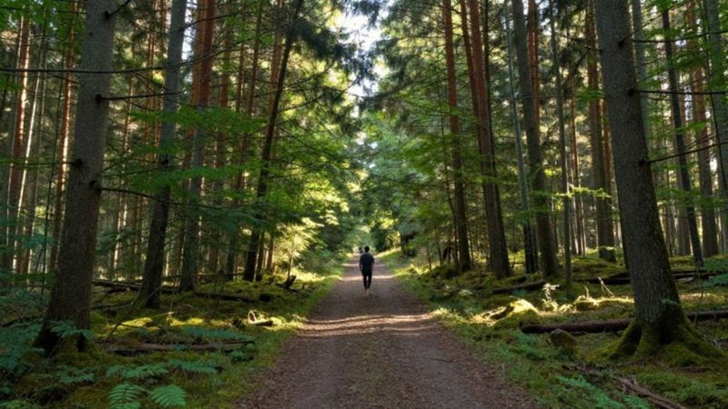 Jak odzyskać energię po kontakcie z wampirem energetycznym?
