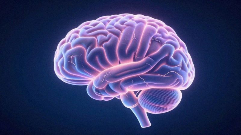 Jak zaburzenia neurochemiczne wpływają na rozwój chorób psychicznych?