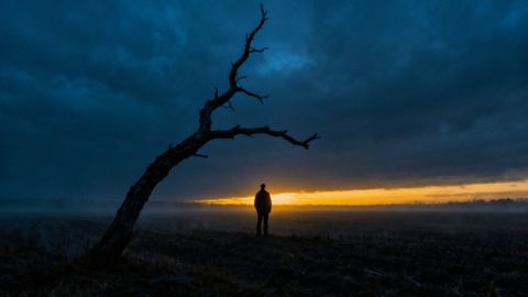 Czym jest depresja? Objawy, przyczyny i metody leczenia