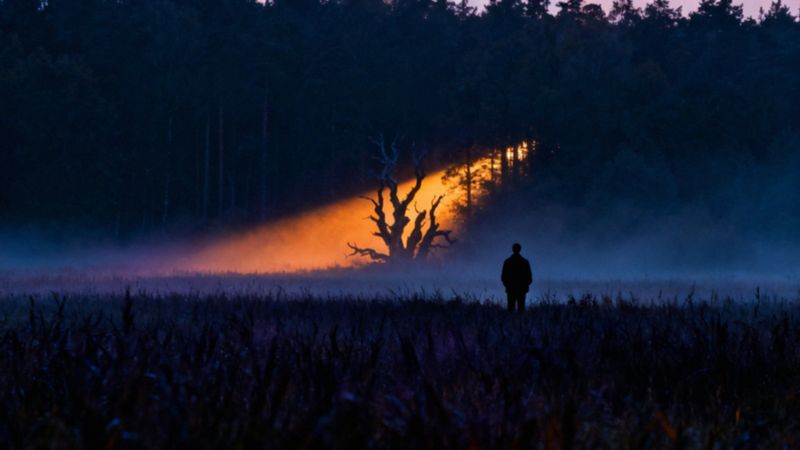 Irracjonalne lęki — objawy, przyczyny i jak z nimi walczyć?