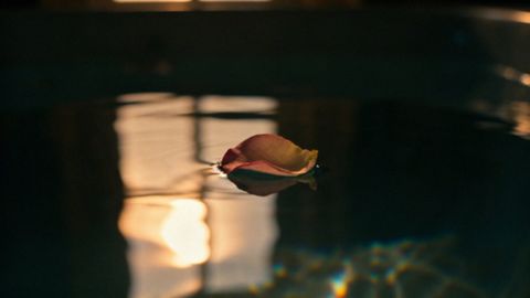 Kiedy robicie się mokre? Naturalne nawilżenie i jego czynniki