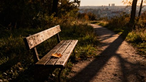 Psychologiczne skutki wojny — jak wpływają na społeczeństwo i dzieci?