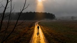 Strach i obawa — czym się różnią i jak nimi zarządzać?