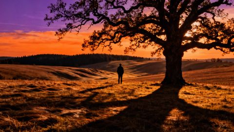 Temperament a stres — jak cechy temperamentalne wpływają na nasze reakcje?