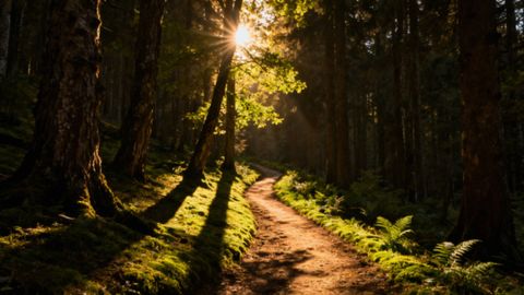 Walka z uzależnieniem psychicznym — jak skutecznie zacząć?